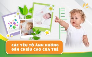 Các yếu tố ảnh hưởng đến chiều cao của trẻ