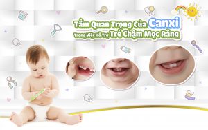 Tầm Quan Trọng Của Canxi Trong Việc Hỗ Trợ Trẻ Chậm Mọc Răng